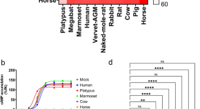 current study in research example