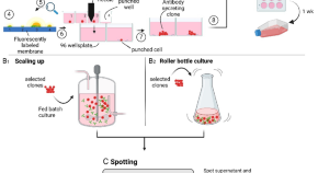 scientific articles research