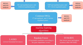 thesis topics endocrinology