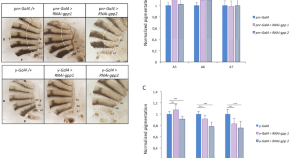 research article free