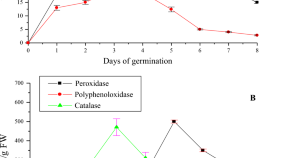 pdf research paper