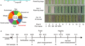 sample research topic about environment