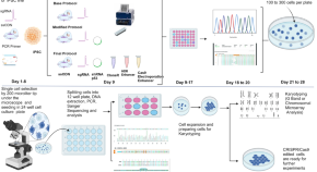 new research cancer stem cells