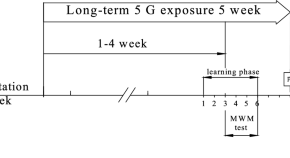 research study report