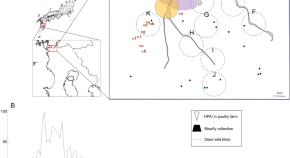 key biology research areas