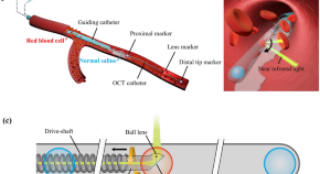 thesis topics for biomedical engineering