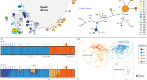 good research questions about the ocean