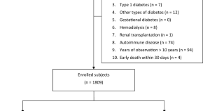 diabetes mellitus research paper