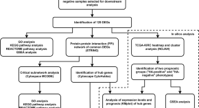 experimental research articles pdf