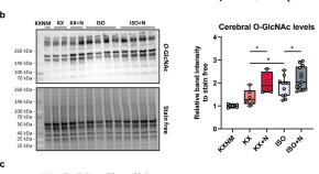 experimental research articles pdf