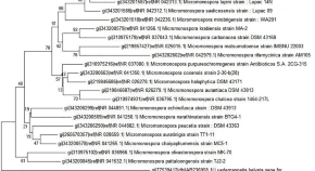 research topics related to chemistry