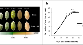 plant biology research