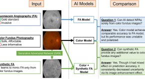 new research topics in ophthalmology