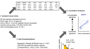 new research type 1 diabetes