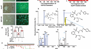 medicine drug research paper