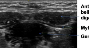 research paper related to medical technology research paper related to medical technology