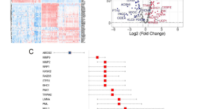 latest health research articles