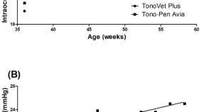 interesting diseases for research paper