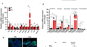 recent research on diabetes management