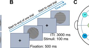 short term memory research paper short term memory research paper
