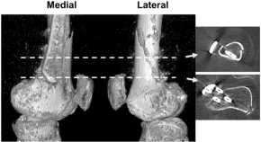 medical imaging research paper medical imaging research paper
