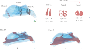 nature research journal