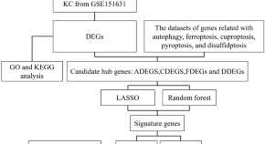 recent research paper on bioinformatics recent research paper on bioinformatics