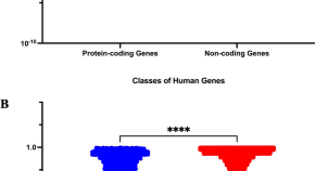 research and databases