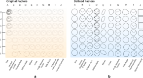 psychological research on working memory