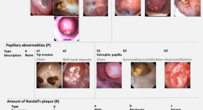 research and report in urology