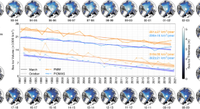 marine environment research paper