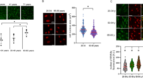 stem cell research resource paper stem cell research resource paper