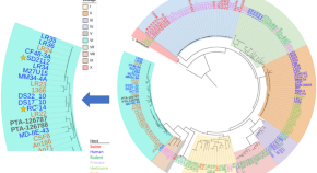 research questions about bacteria