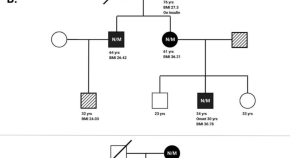 dna research project ideas