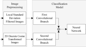 research projects in biomedical engineering