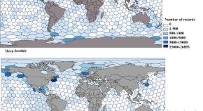 research topics about marine biology