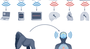 epilepsy research