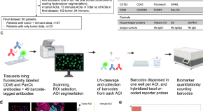 ovarian cancer thesis topics