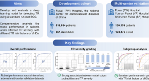 Valvular disease - Latest research and news | Nature