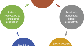 scope of economics research paper