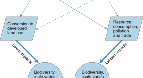 environmental sustainability topics for research papers