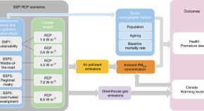 impact of environmental pollution on human health essay