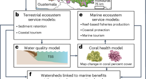 research topic about environmental science