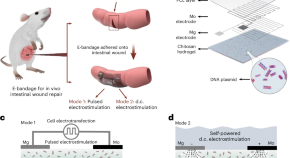 research paper on biomedical engineering pdf