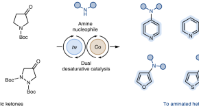 essay about organic chemistry