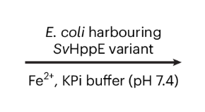 organic compounds research topics