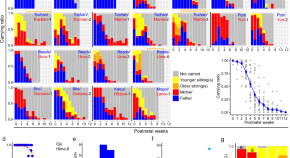 brain evolution research articles