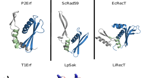 recombinant dna technology presentation topics