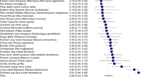 brain evolution research articles