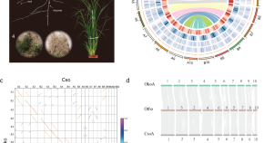 Molecular Ecology, Molecular Genetics Journal